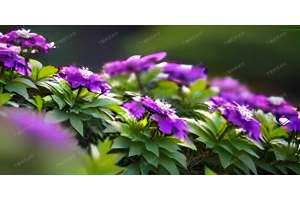 杭州假山路按摩：舒适桑拿，养生新体验