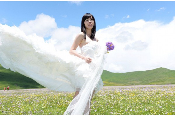 白木槿花养生秘诀：探究独特功效，助你青春常驻